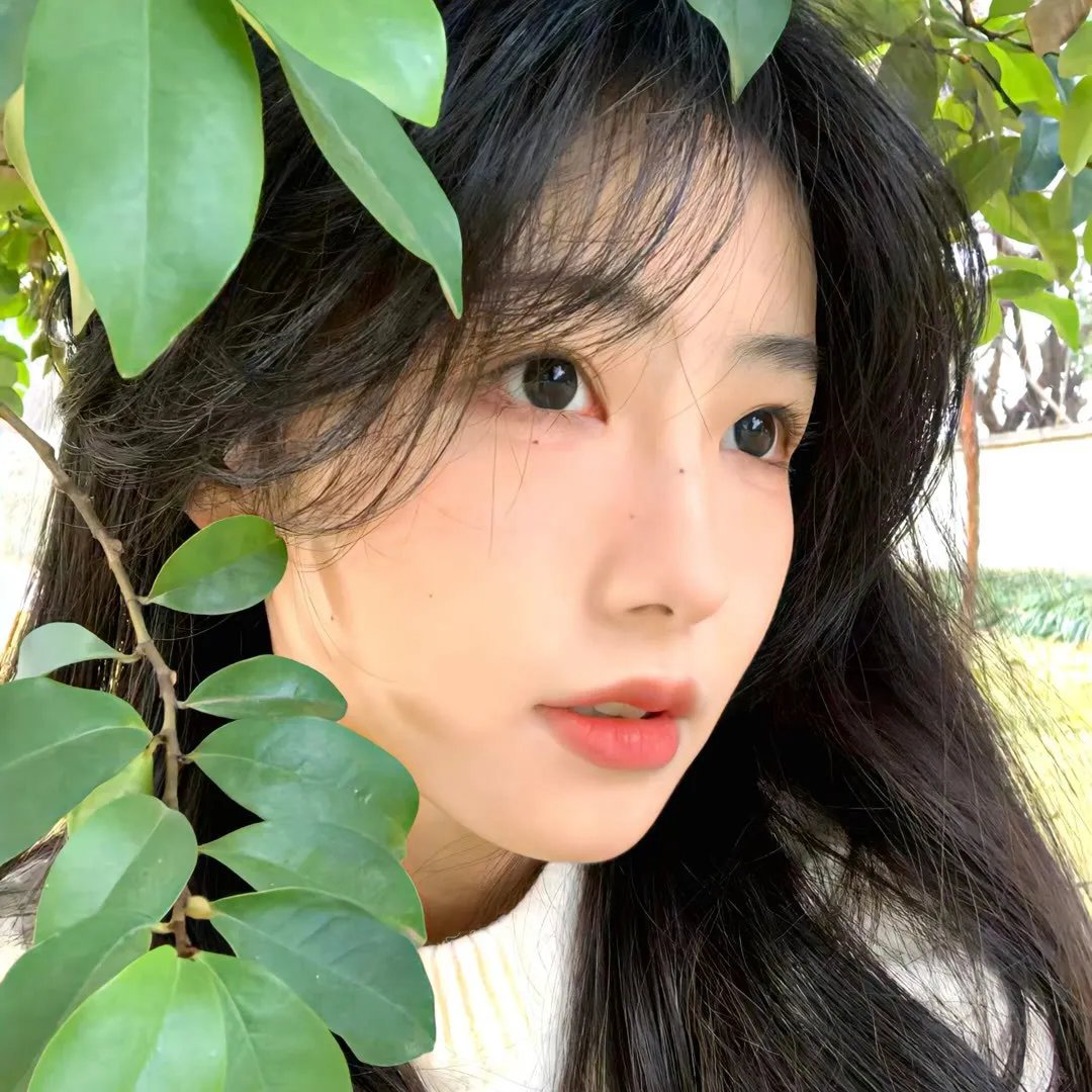 夜阑卧听风吹雨